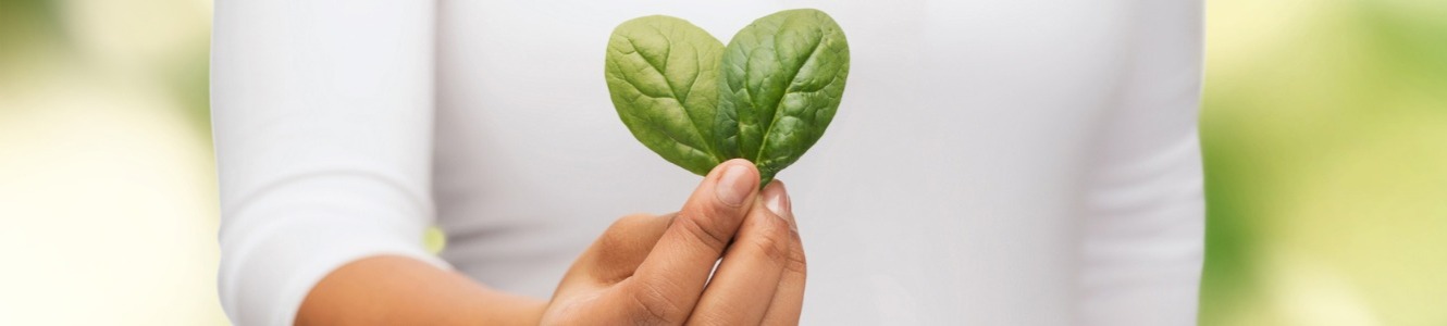 leaf in the shape of heart